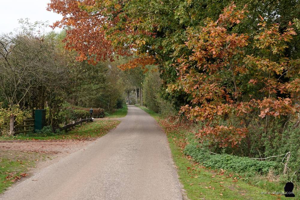 herfstkleuren in Drenthe