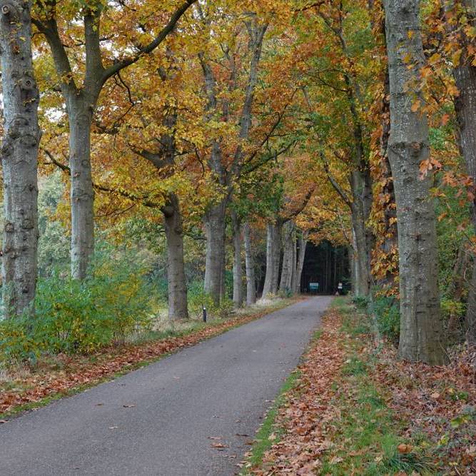 herfstkleuren in Drenthe