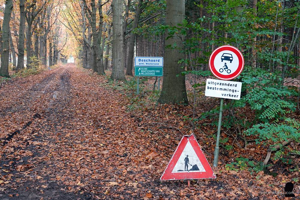 waarschuwingsborden aan het begin van een bospad