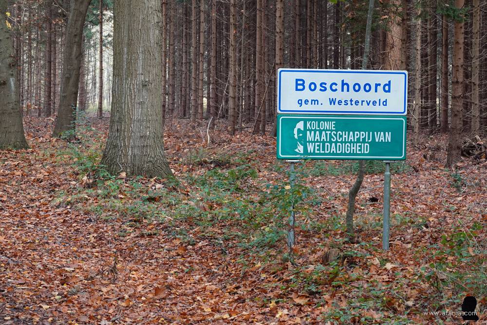 Boschoord, ooit een van de koloniën van de Maatschappij van Weldadigheid