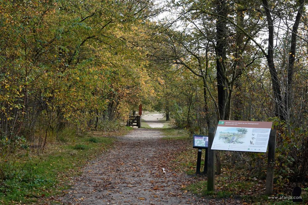 het toegangspad naar het Aekingerzand