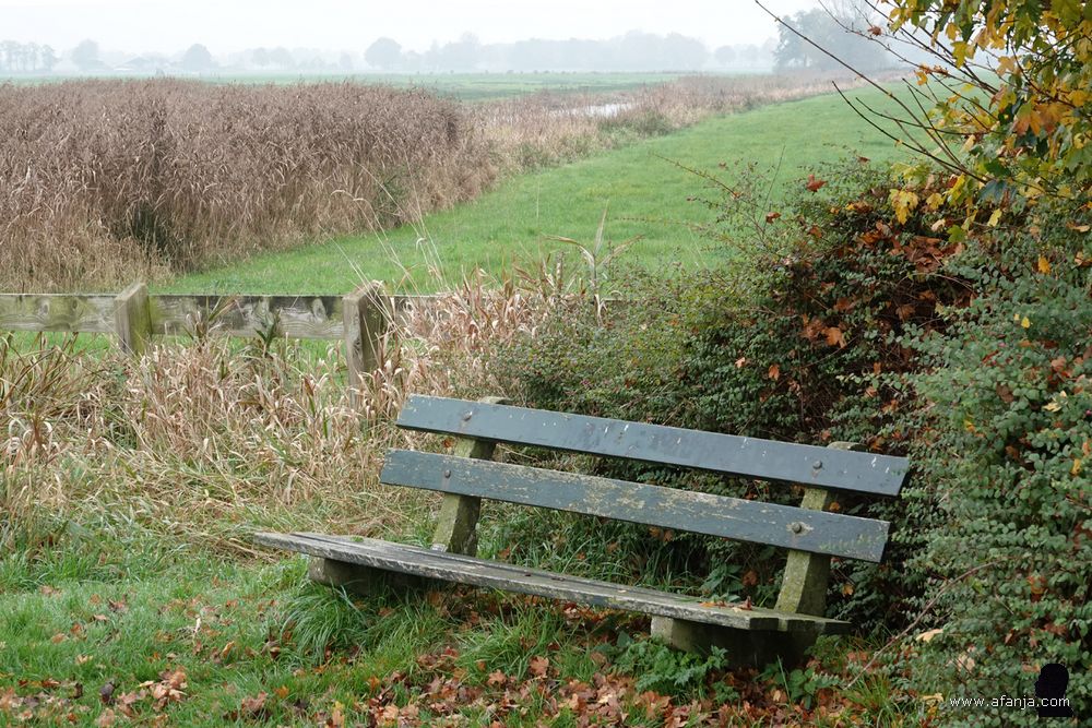 een bankje aan de Ade Ie