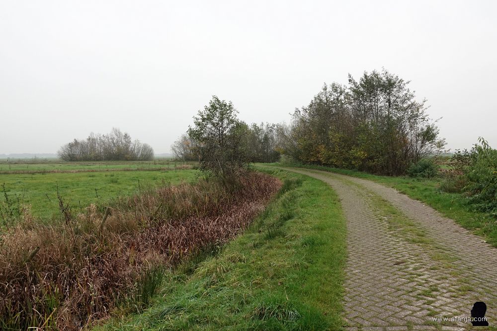 de Alde Ie gaat in zuidelijke richting naar Gorredijk
