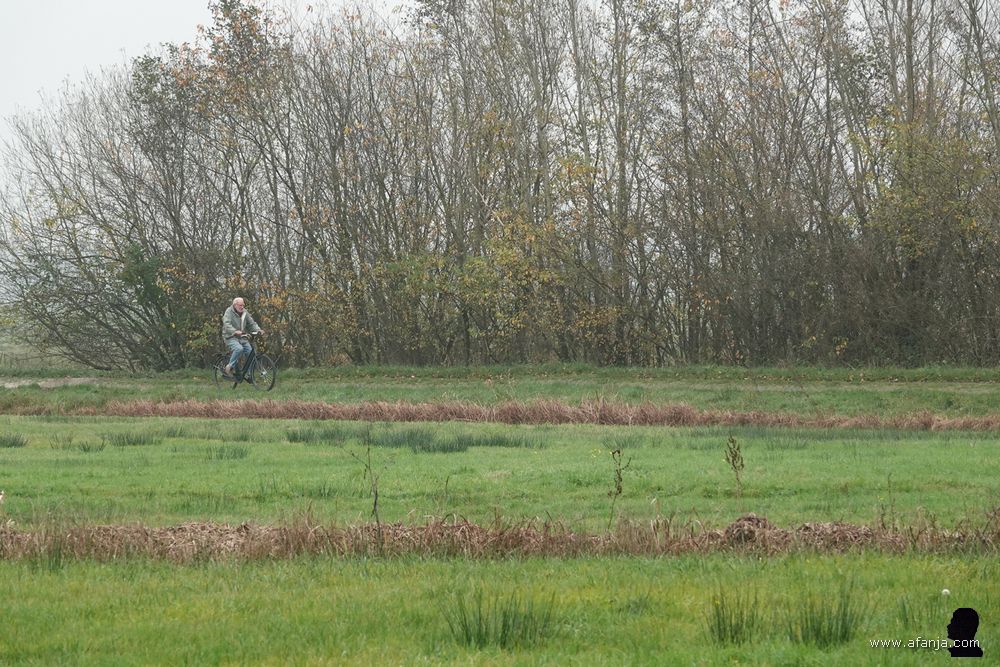 vanuit de richting Gorredijk nadert een fietser