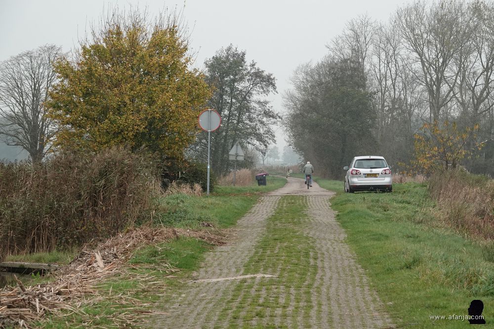 de fietser vervolgt zijn weg in noordelijke richting over de Alde Ie