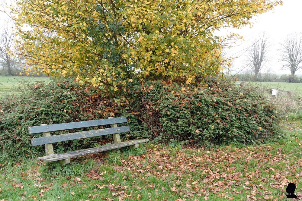 het bankje aan de Ade Ie