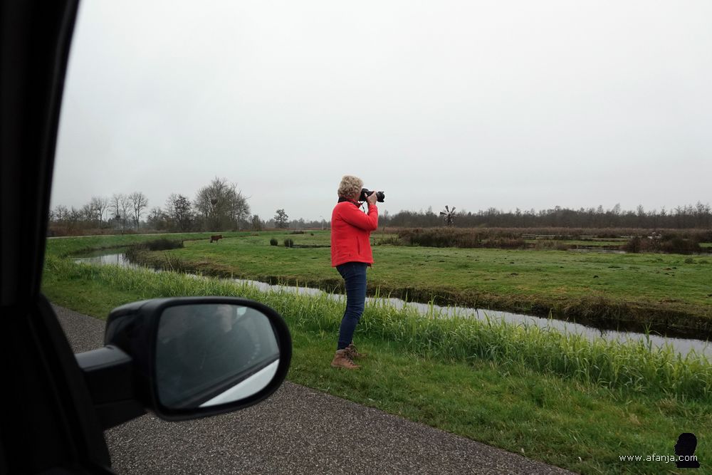 Jetske fotografeert een zeearend
