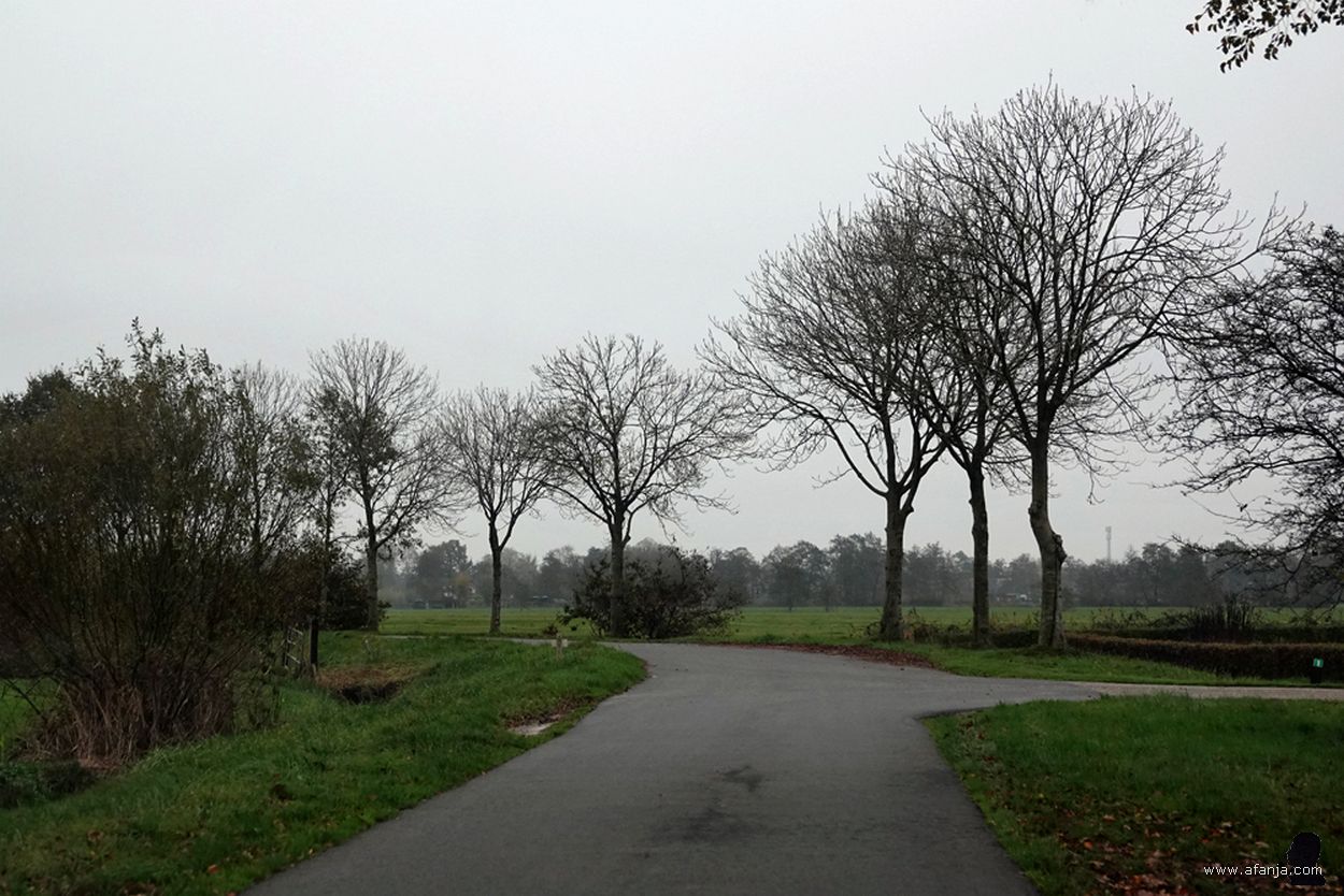 op weg naar huis door een kil en grijs herfstlandschap