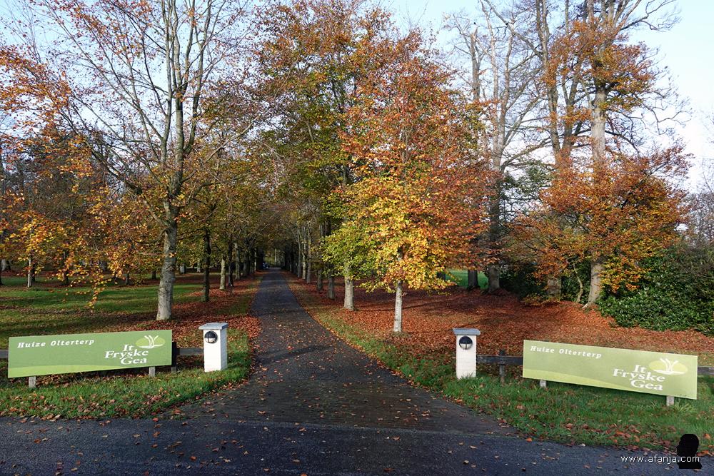 de oprijlaan naar het hoofdkwartier van It Fryske Gea