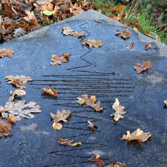 het kunstwerk ‘Wanneer de maan het landschap verandert, huilen de wolven’ van beeldhouwer Anne Woudwijk