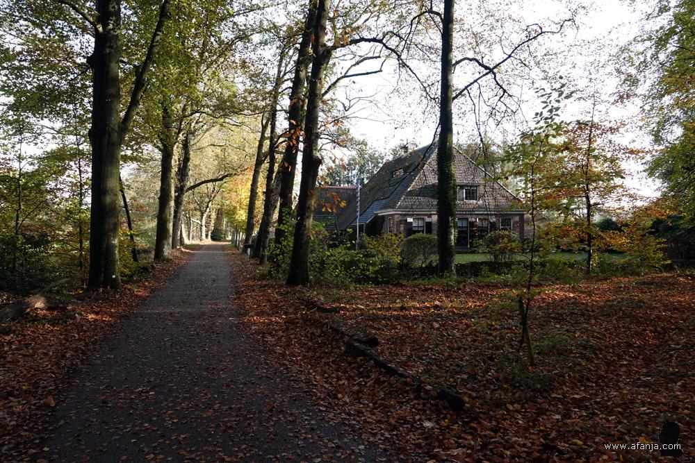 herfst bij Heidehuizen