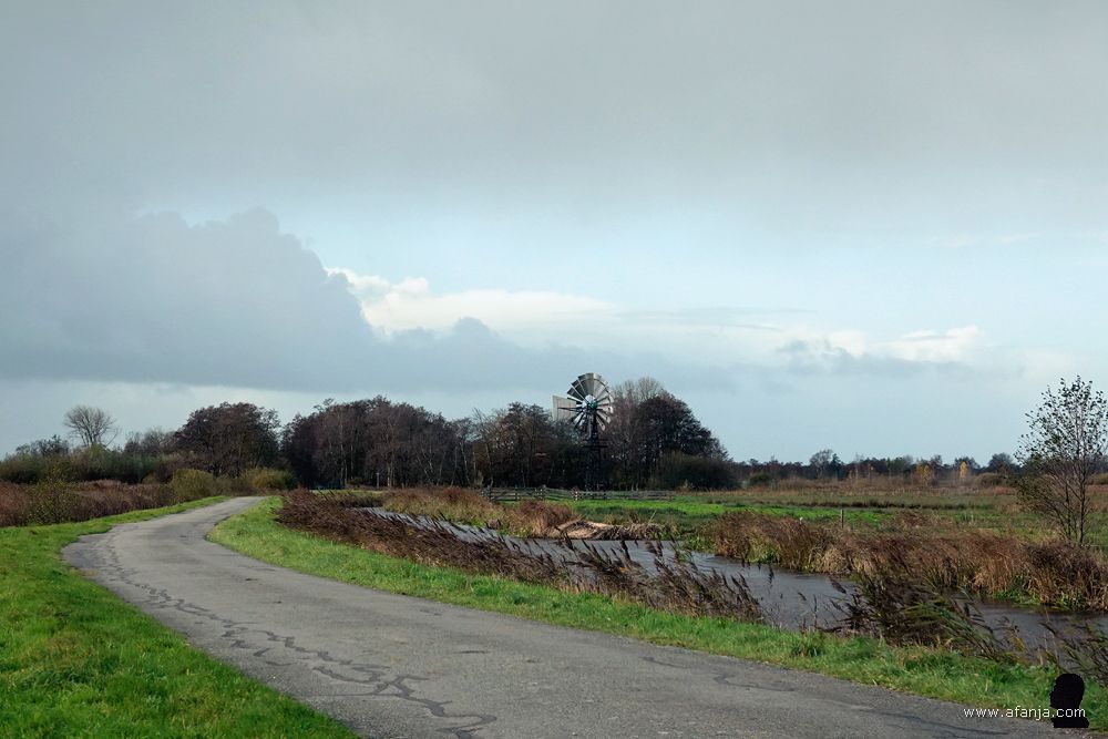 lunchtijd in de Jan Durkspolder met buien in ontwikkeling