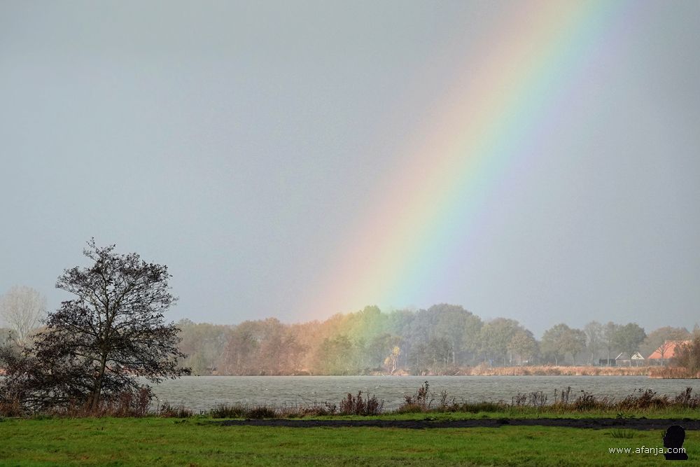 de goudschat ligt kennelijk in de Panhuyspoel