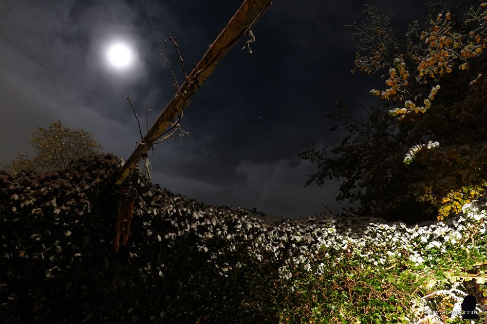 als de eerste sneeuw is gevallen verschijnt de maan