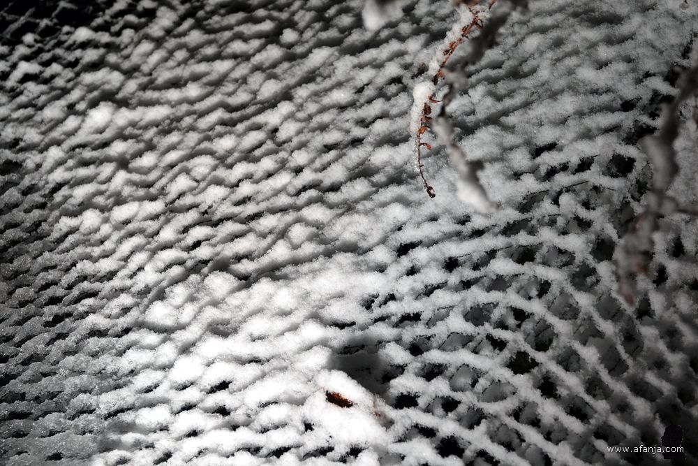 sneeuw op het net over de vijver