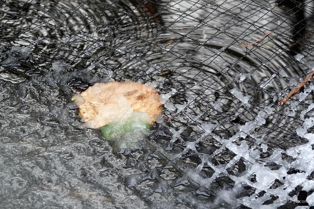 smeltende sneeuw op het net dat over de vijver hangt om gevallen bladeren op te vangen