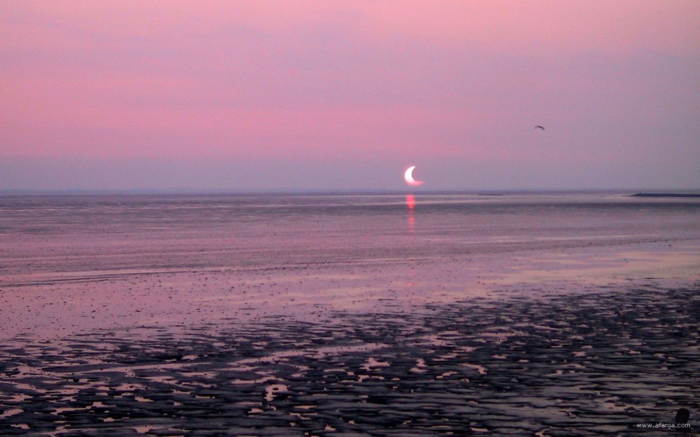 zonsopkomst tijdens een gedeeltelijke zonsverduistering - 31 mei 2003