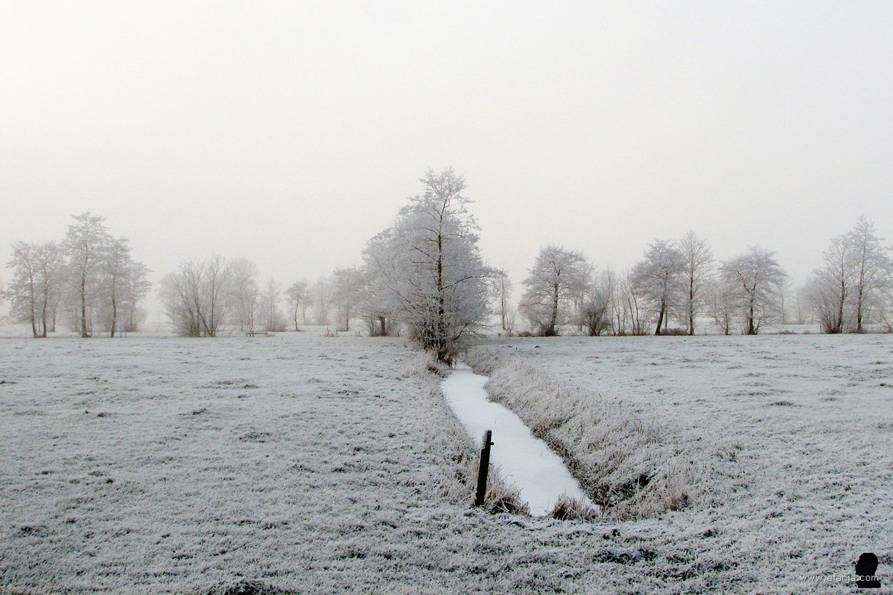 21 december 2007 - een sloot tussen de weilanden en in de verte berijpte bomen in de mist