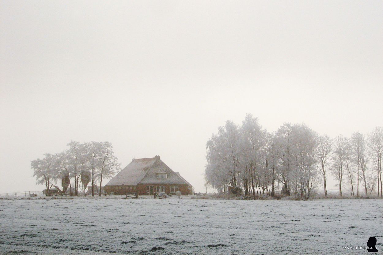 21 december 2007 - een boerderij in de mist tussen berijpte bomen
