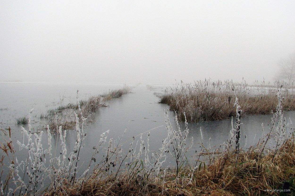 21 december 2007 - mist en rijp