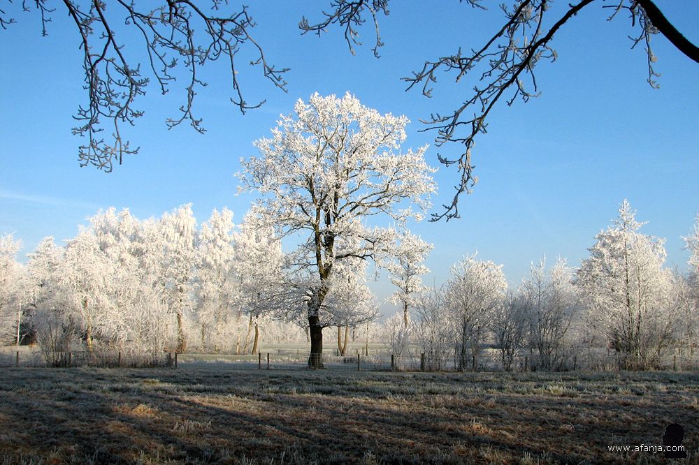 een berijpt coulissenlandschap