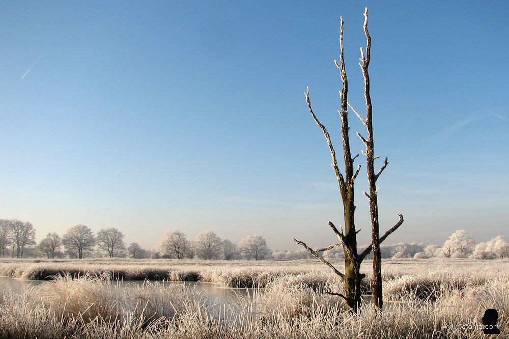 een berijpte witte wereld in het Weinterper Skar