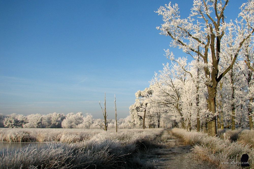 een berijpte witte wereld in het Weinterper Skar