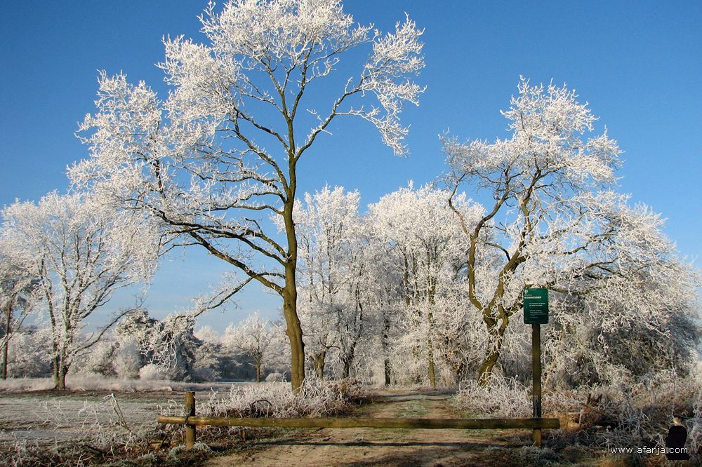 een berijpte witte wereld in het Weinterper Skar