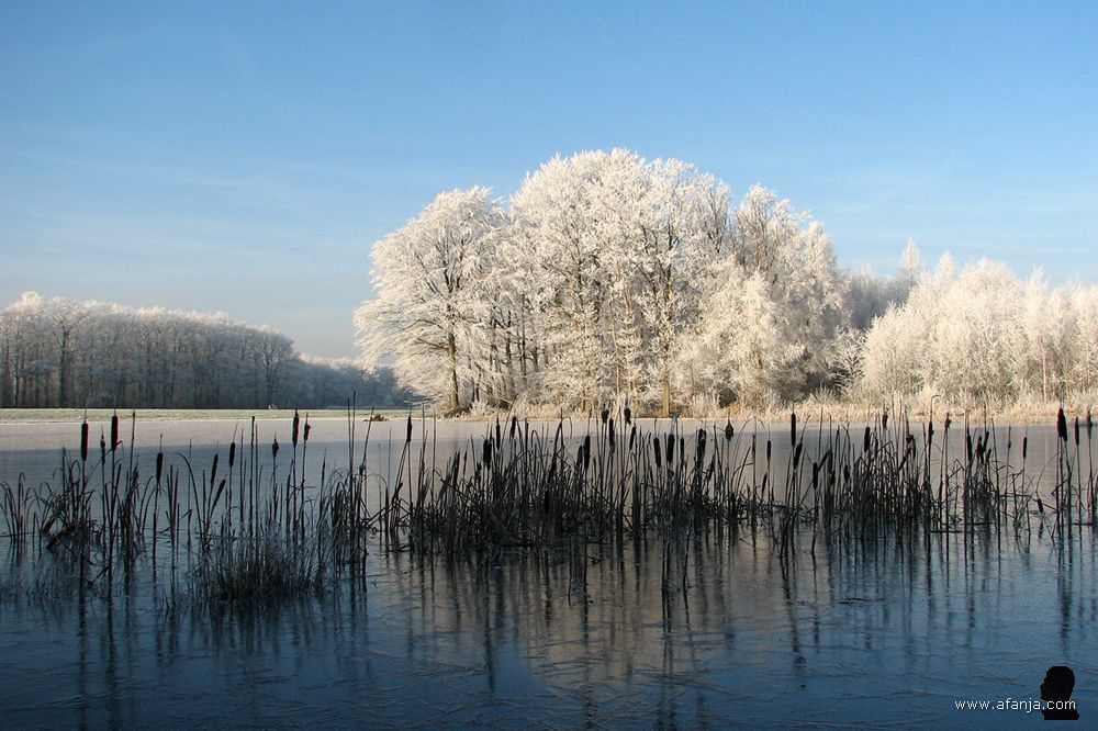 een berijpte witte wereld in het Weinterper Skar