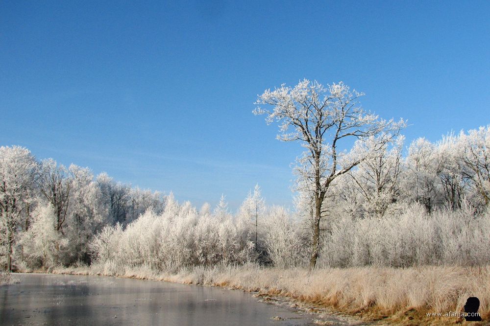 een berijpte witte wereld bij de dobbe in het Weinterper Skar