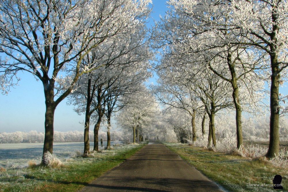 een berijpte witte wereld