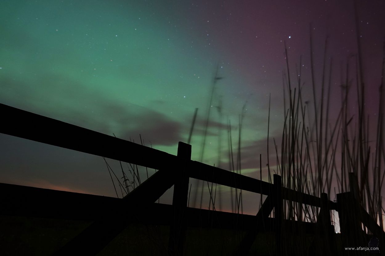 poollicht bij de Veenhoop - 10 mei 2024