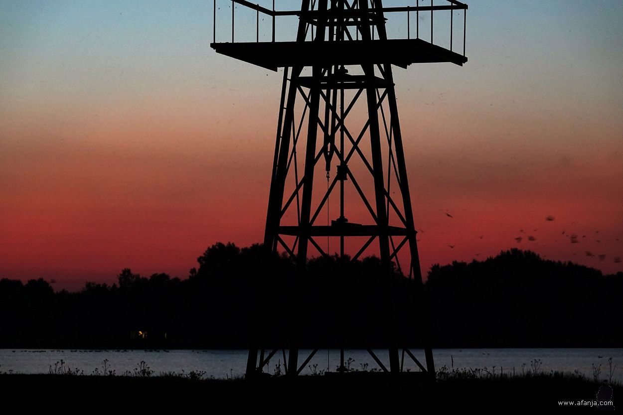 nacht in de Jan Durkspolder - 26 juni 2024