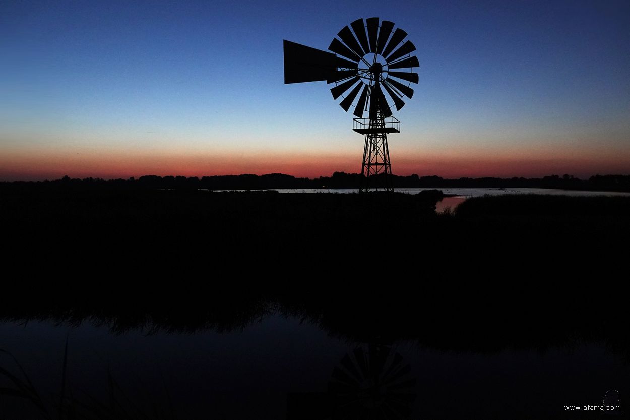 nacht in de Jan Durkspolder - 26 juni 2024