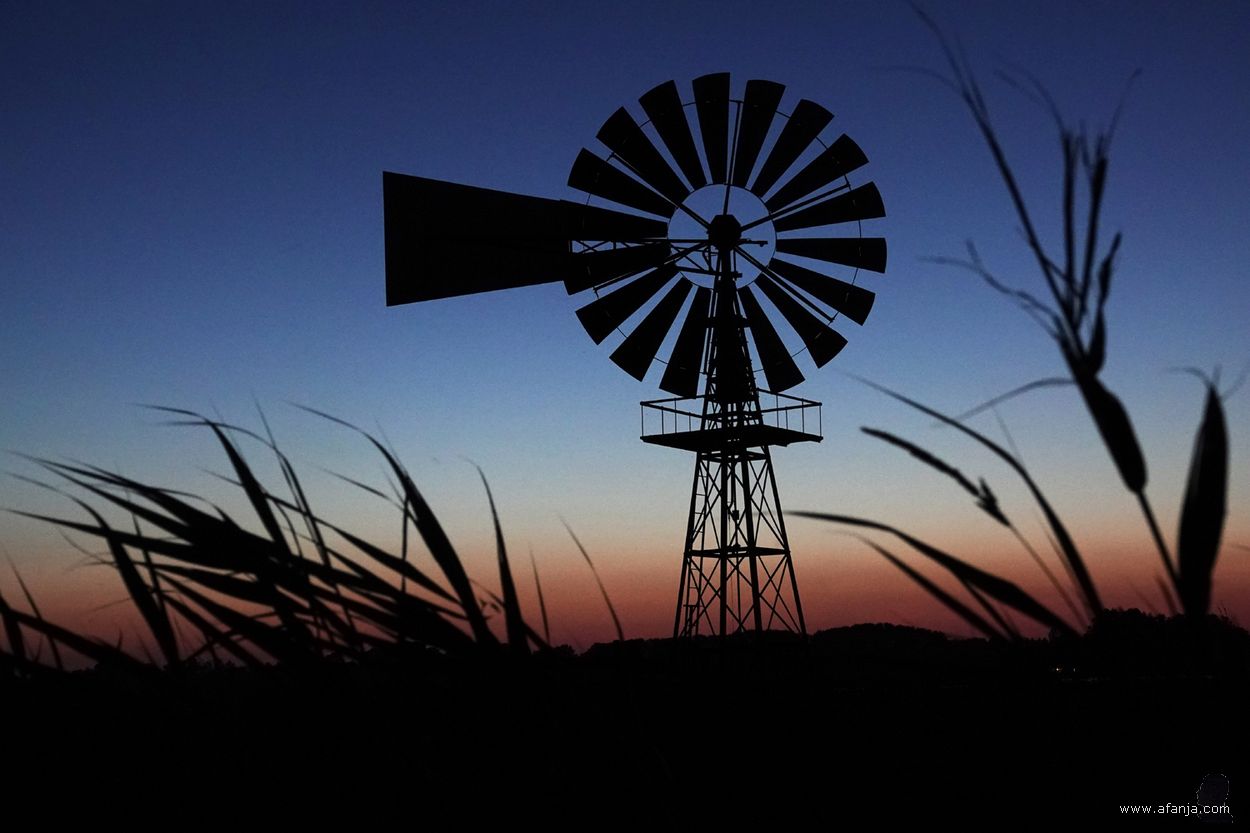 nacht in de Jan Durkspolder - 26 juni 2024