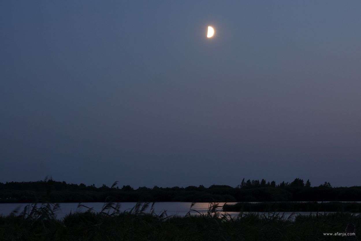 nacht in de Jan Durkspolder - 12 augustus 2024