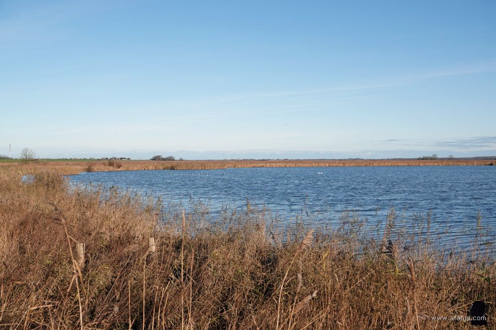 rust in het Lauwersmeer met slechts enkel vogels in de verte