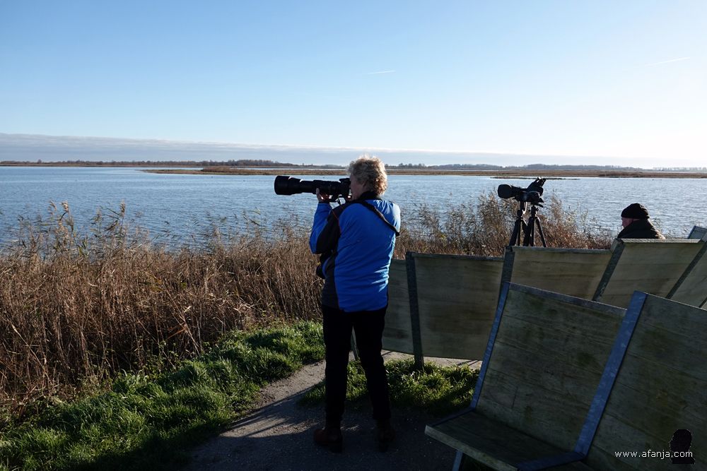 Jetske met de 600 mm lens op haar camera, daarnaast een vogeltelescoop op statief