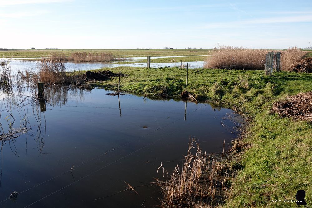 een buiten zijn oevers getreden sloot met een draaikolkje naar een duiker