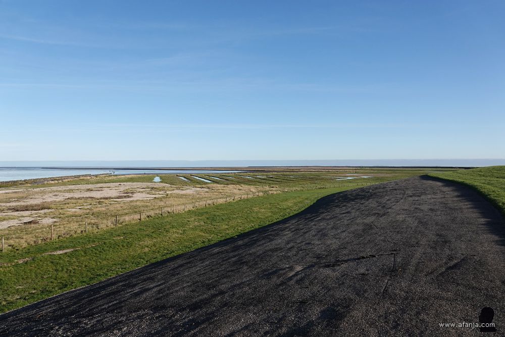 uitzicht over het buitendijkse gebied de Peazemerlânnen