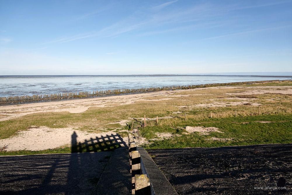 blik op het Wad en het buitendijkse gebied de Peazemerlânnen