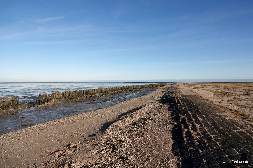 het dijkje achter de oude palenrij bij Peazens-Moddergat