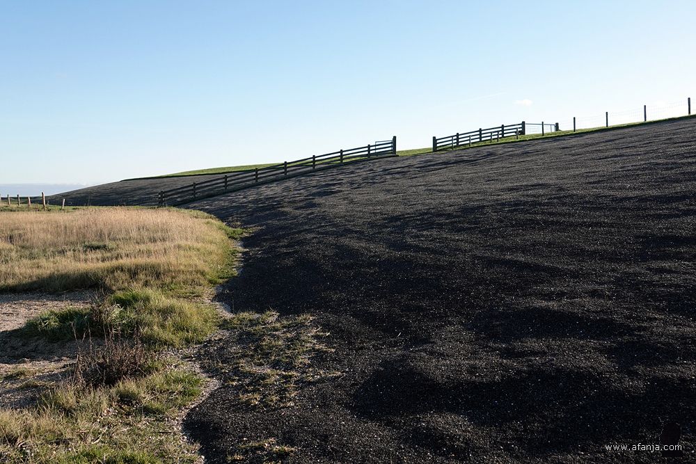 aan de voet van de dijk aan de kant van het Wad