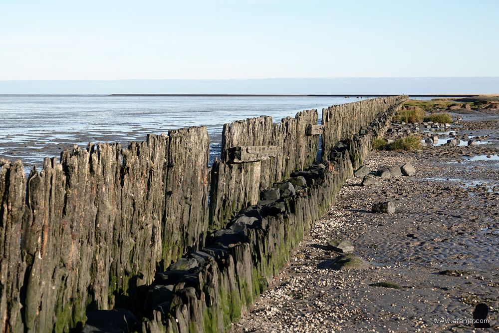 fragment van de oude palenrij bij Peazens-Moddergat