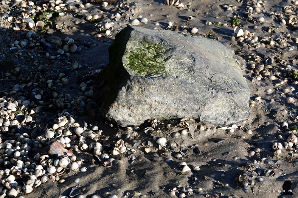 een verdwaald blok basalt