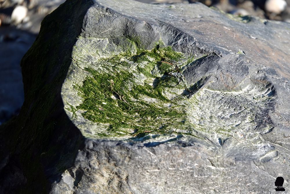 fragment van een verdwaald blok basalt