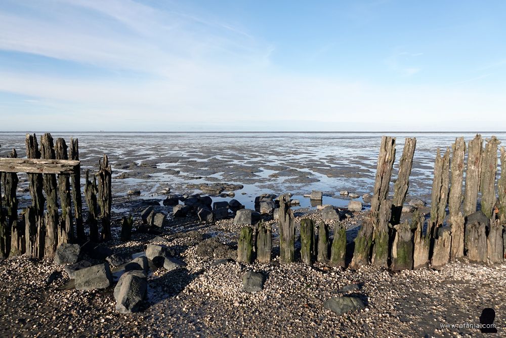 bij de oude palenrij langs het Wad
