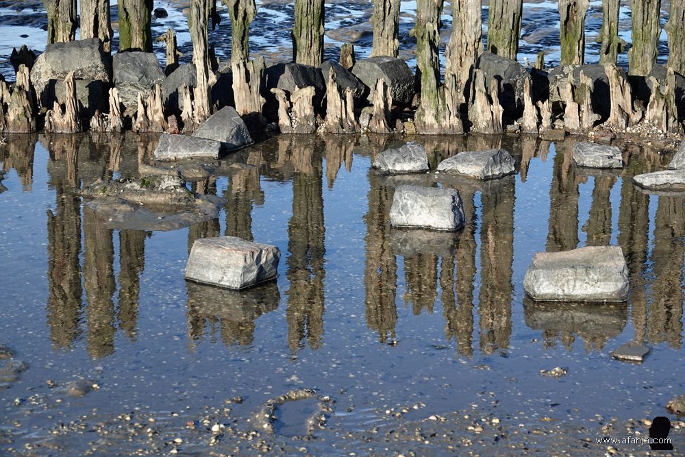 blokken basalt bij de oude palenrij langs het Wad