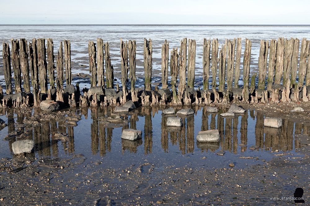 blokken basalt bij de oude palenrij langs het Wad