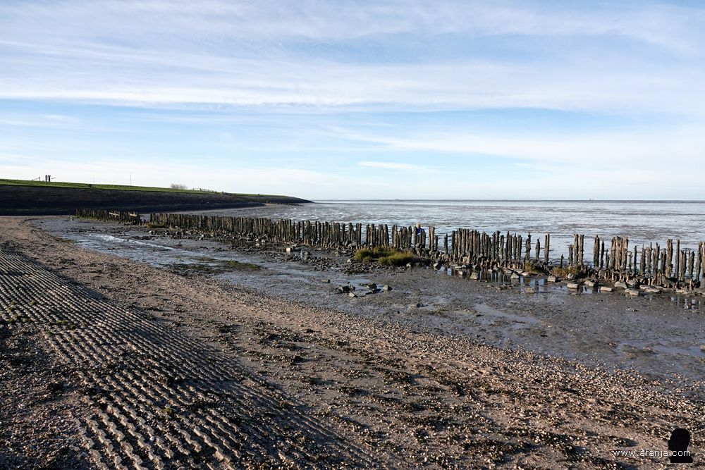 in de verte ligt de Waddenzeedijk